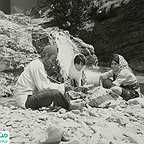  فیلم سینمایی پرستوها به لانه برمی‌گردند به کارگردانی 