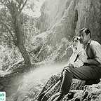  فیلم سینمایی پرستوها به لانه برمی‌گردند به کارگردانی 