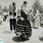  فیلم سینمایی پرستوها به لانه برمی‌گردند به کارگردانی 