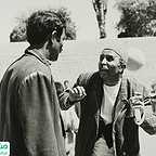  فیلم سینمایی پرستوها به لانه برمی‌گردند به کارگردانی 