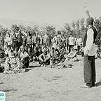  فیلم سینمایی پرستوها به لانه برمی‌گردند به کارگردانی 