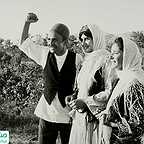  فیلم سینمایی پرستوها به لانه برمی‌گردند به کارگردانی 