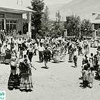  فیلم سینمایی پرستوها به لانه برمی‌گردند به کارگردانی 