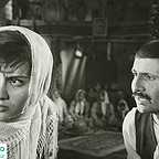  فیلم سینمایی پرستوها به لانه برمی‌گردند به کارگردانی 