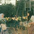  فیلم سینمایی محبوبه به کارگردانی سید احمد حسنی‌مقدم