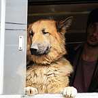  فیلم سینمایی پات به کارگردانی 