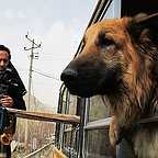  فیلم سینمایی پات به کارگردانی 