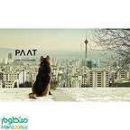  فیلم سینمایی پات به کارگردانی 
