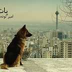  فیلم سینمایی پات به کارگردانی 