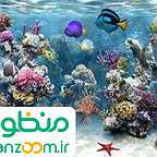  فیلم سینمایی آبی و آرام به کارگردانی 