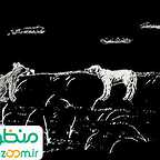  فیلم سینمایی پات به کارگردانی 