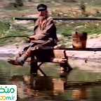  فیلم سینمایی درخت بید به کارگردانی 