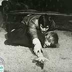  فیلم سینمایی در آمریکا اتفاق افتاد به کارگردانی 