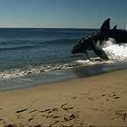  فیلم سینمایی Sand Sharks به کارگردانی Mark Atkins