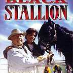  سریال تلویزیونی The New Adventures of the Black Stallion به کارگردانی Bill Corcoran و Paolo Barzman و Alan Simmonds و George Bloomfield و Peter D. Marshall و Mitchell Gabourie و Olivier Descamps و Christian Le Hémonet و Michel Tréguer و Emilio Pacull