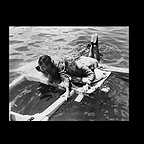  فیلم سینمایی The Extraordinary Seaman با حضور دیوید نیون و فی داناوی
