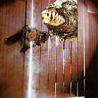  فیلم سینمایی The Cellar به کارگردانی Kevin Tenney