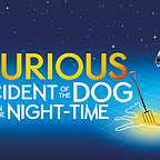  فیلم سینمایی National Theatre Live: The Curious Incident of the Dog in the Night-Time با حضور لوک تریداوی