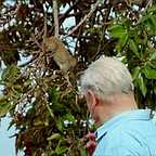  سریال تلویزیونی زندگی پستانداران به کارگردانی دیوید اتنبرو