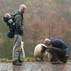  فیلم سینمایی Some Dogs Bite به کارگردانی Marc Munden