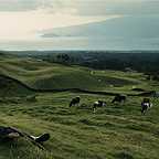  فیلم سینمایی Cinzento e Negro به کارگردانی Luís Filipe Rocha