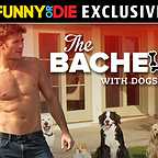  فیلم سینمایی The Bachelor with Dogs and Scott Eastwood به کارگردانی Andrew Bush