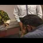  برنامه تلویزیونی بی راهه به کارگردانی مسعود رجبیان و رضا سعادت فر