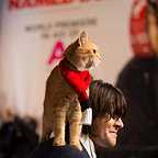  فیلم سینمایی یک گربه خیابانی به نام باب با حضور Bob the Cat و James Bowen