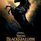  فیلم سینمایی The Young Black Stallion به کارگردانی Simon Wincer