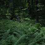  فیلم سینمایی جنگل با حضور Yukiyoshi Ozawa، ناتالی دورمر و Taylor Kinney