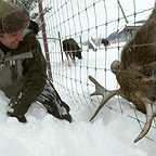  سریال تلویزیونی افسانه زدایان به کارگردانی 