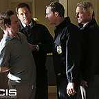  سریال تلویزیونی ان سی آی اس: سرویس تحقیقات جنایی نیروی دریایی با حضور مارک هارمون، Michael Weatherly و Sean Murray