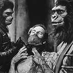  فیلم سینمایی سیاره ی میمون ها با حضور Charlton Heston
