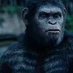  فیلم سینمایی طلوع سیاره میمون ها با حضور اندی سرکیس