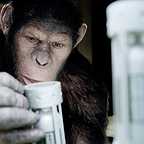  فیلم سینمایی ظهور سیاره میمون ها به کارگردانی Rupert Wyatt
