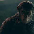  فیلم سینمایی طلوع سیاره میمون ها با حضور اندی سرکیس