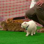  سریال تلویزیونی افسانه زدایان به کارگردانی 