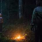  فیلم سینمایی جنگل با حضور ناتالی دورمر