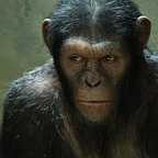  فیلم سینمایی ظهور سیاره میمون ها با حضور اندی سرکیس
