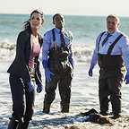  سریال تلویزیونی Rizzoli & Isles با حضور بروس مک  گیل، Angie Harmon و Lee Thompson Young