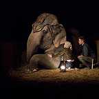  فیلم سینمایی آب برای فیل ها با حضور رابرت پتینسون و ریس ویترسپون