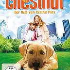  فیلم سینمایی Chestnut: Hero of Central Park به کارگردانی Robert Vince