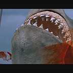  فیلم سینمایی Jaws: The Revenge به کارگردانی Joseph Sargent