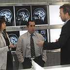  سریال تلویزیونی دکتر هاوس با حضور Amber Tamblyn، Hugh Laurie و Peter Jacobson