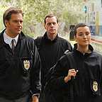  سریال تلویزیونی ان سی آی اس: سرویس تحقیقات جنایی نیروی دریایی با حضور کوته دی پابلو، Michael Weatherly و Sean Murray