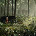  فیلم سینمایی کتاب جنگل با حضور بن کینگزلی و Neel Sethi