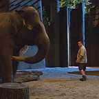  فیلم سینمایی نگهبان باغ وحش با حضور Kevin James