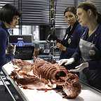  سریال تلویزیونی استخوان ها با حضور Emily Deschanel، میکلا کونلین و Tamara Taylor