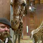  سریال تلویزیونی افسانه زدایان به کارگردانی 