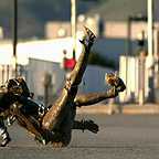  سریال تلویزیونی افسانه زدایان به کارگردانی 